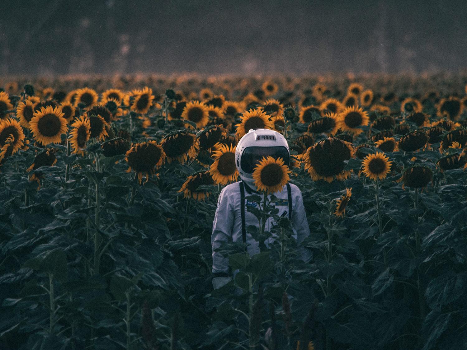 Teneşir | Bilal Saka