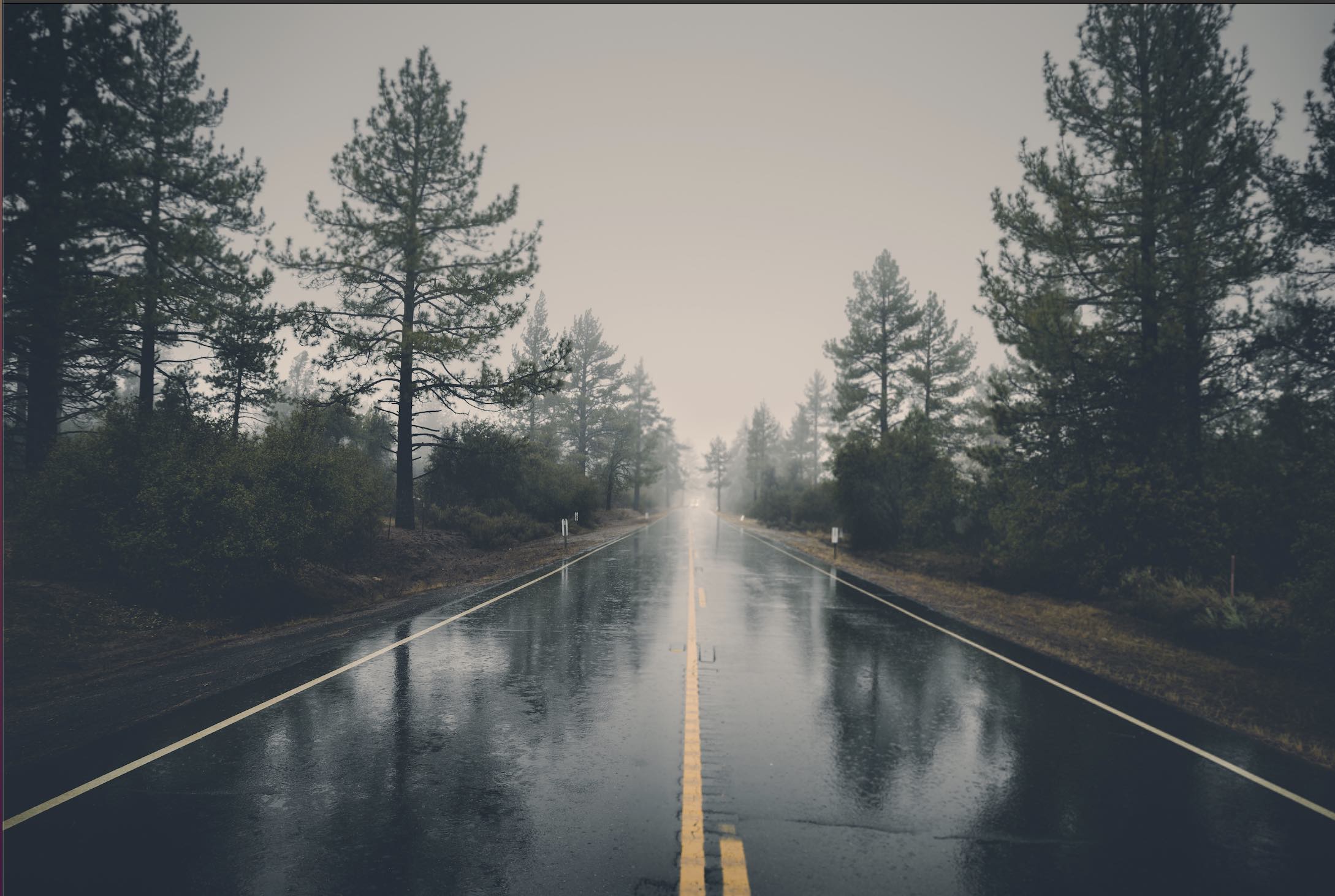 yol hali