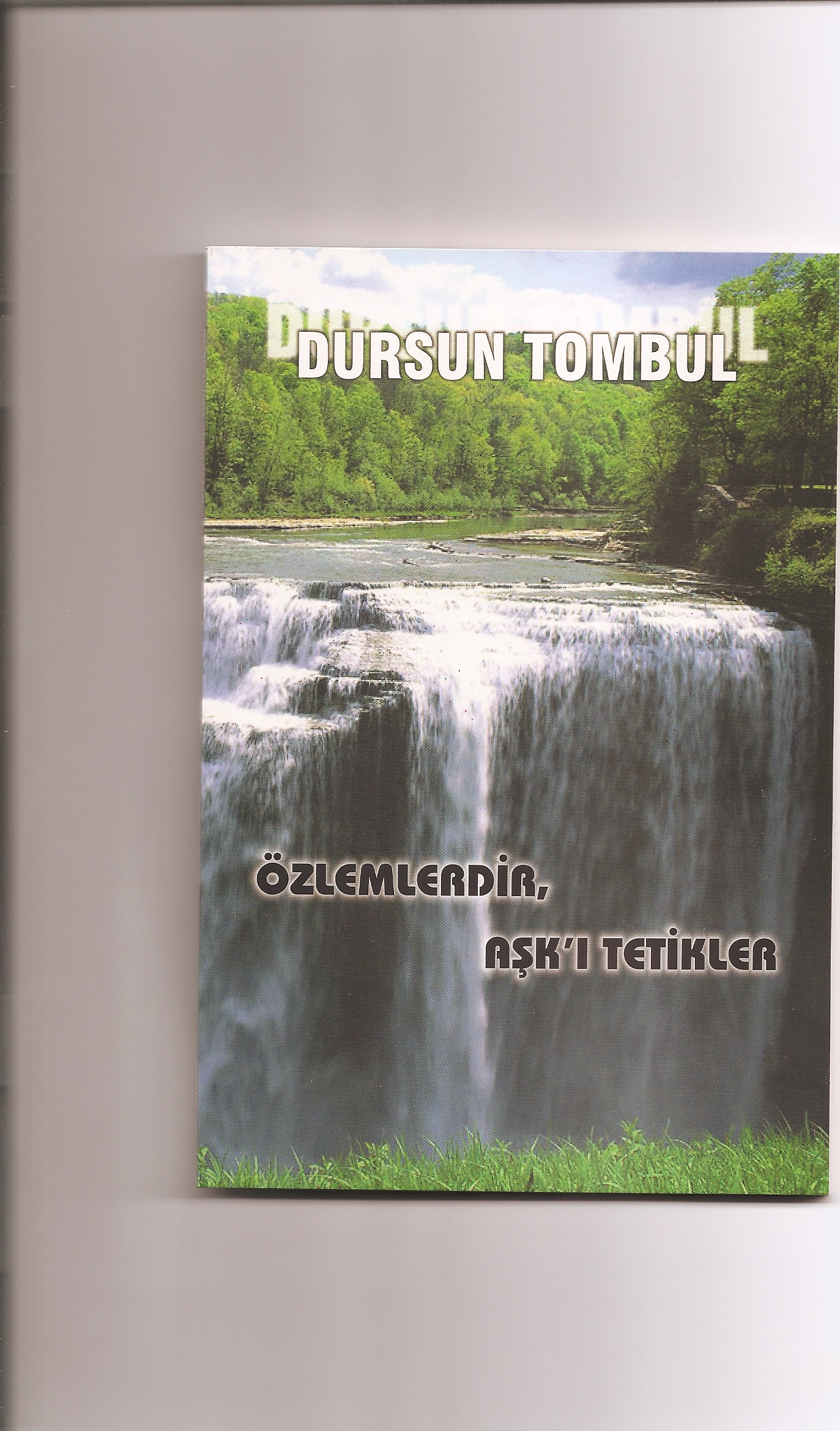 Aşk Bileşkesi