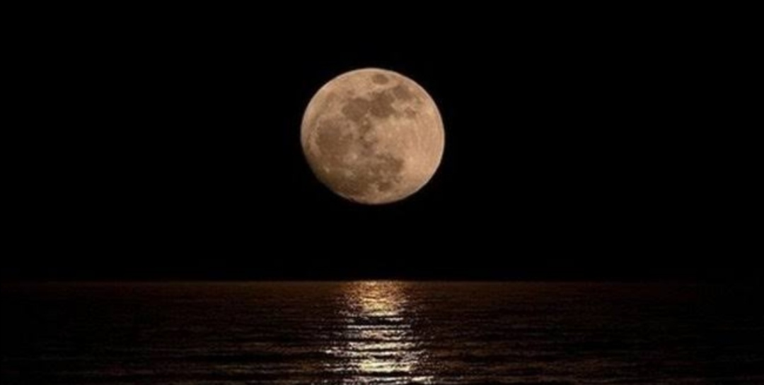 Bir Gece Vakti
