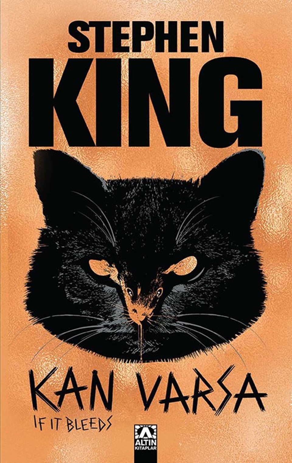 Stephen King'den yeni kitap: Kan Varsa